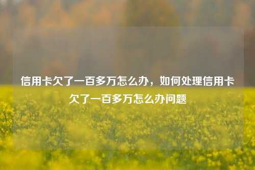 信用卡欠了一百多万怎么办，如何处理信用卡欠了一百多万怎么办问题