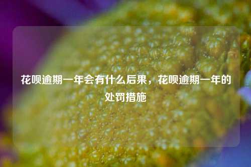 花呗逾期一年会有什么后果，花呗逾期一年的处罚措施