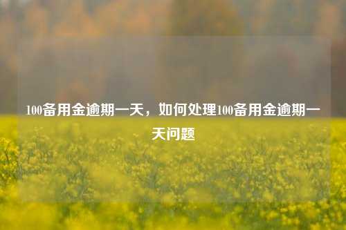 100备用金逾期一天，如何处理100备用金逾期一天问题