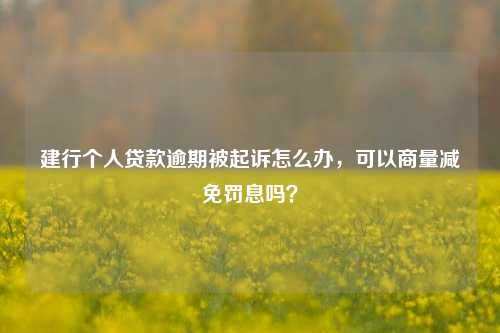 建行个人贷款逾期被起诉怎么办，可以商量减免罚息吗？