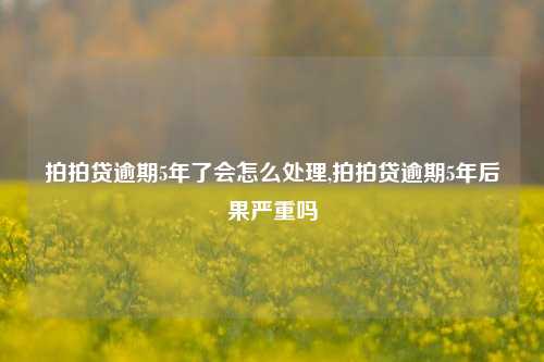 拍拍贷逾期5年了会怎么处理,拍拍贷逾期5年后果严重吗