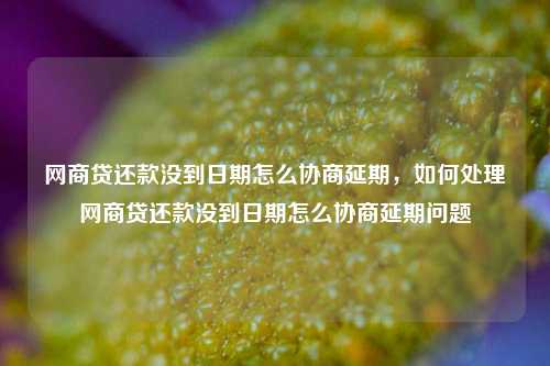 网商贷还款没到日期怎么协商延期，如何处理网商贷还款没到日期怎么协商延期问题