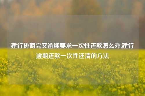 建行协商完又逾期要求一次性还款怎么办,建行逾期还款一次性还清的方法