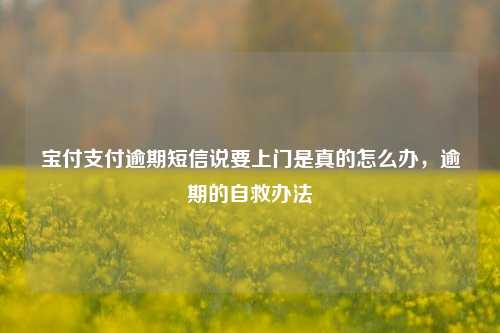 宝付支付逾期短信说要上门是真的怎么办，逾期的自救办法