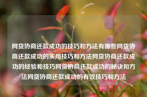 网贷协商还款成功的技巧和方法有哪些网贷协商还款成功的实用技巧和方法网贷协商还款成功的经验和技巧网贷协商还款成功的秘诀和方法网贷协商还款成功的有效技巧和方法