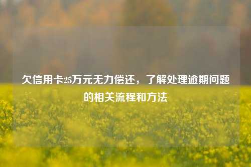 欠信用卡25万元无力偿还，了解处理逾期问题的相关流程和方法