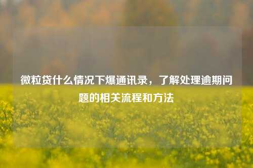 微粒贷什么情况下爆通讯录，了解处理逾期问题的相关流程和方法