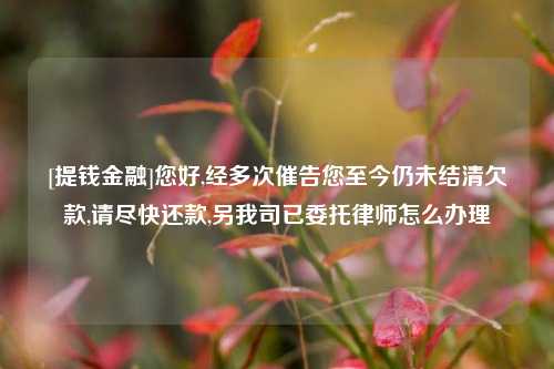 [提钱金融]您好,经多次催告您至今仍未结清欠款,请尽快还款,另我司已委托律师怎么办理