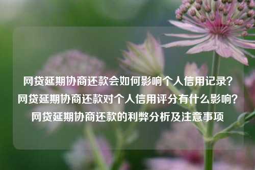 网贷延期协商还款会如何影响个人信用记录？网贷延期协商还款对个人信用评分有什么影响？网贷延期协商还款的利弊分析及注意事项