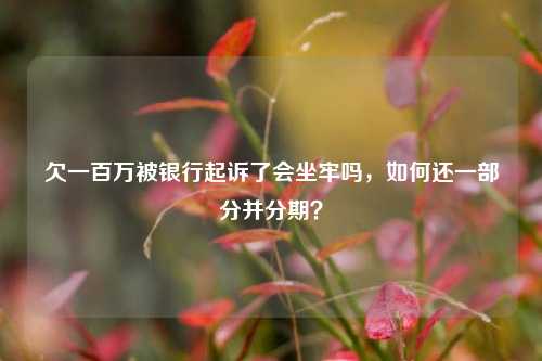 欠一百万被银行起诉了会坐牢吗，如何还一部分并分期？