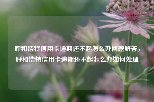 呼和浩特信用卡逾期还不起怎么办问题解答，呼和浩特信用卡逾期还不起怎么办如何处理