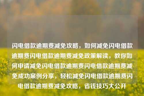 闪电借款逾期费减免攻略，如何减免闪电借款逾期费闪电借款逾期费减免政策解读，教你如何申请减免闪电借款逾期费闪电借款逾期费减免成功案例分享，轻松减免闪电借款逾期费闪电借款逾期费减免攻略，省钱技巧大公开