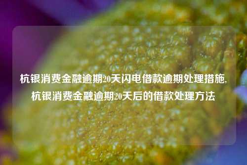 杭银消费金融逾期20天闪电借款逾期处理措施,杭银消费金融逾期20天后的借款处理方法