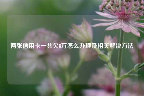 两张信用卡一共欠8万怎么办理及相关解决方法