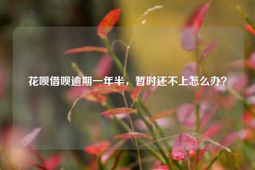 花呗借呗逾期一年半，暂时还不上怎么办？