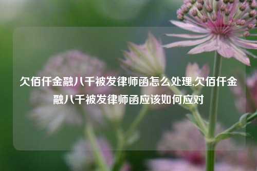 欠佰仟金融八千被发律师函怎么处理,欠佰仟金融八千被发律师函应该如何应对