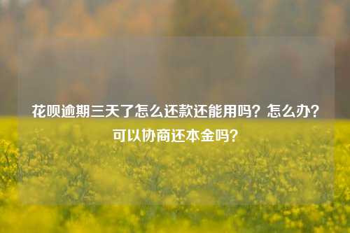 花呗逾期三天了怎么还款还能用吗？怎么办？可以协商还本金吗？