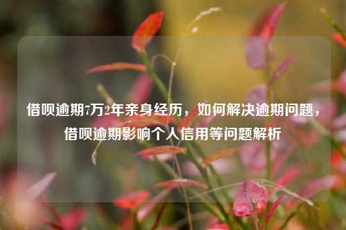 借呗逾期7万2年亲身经历，如何解决逾期问题，借呗逾期影响个人信用等问题解析