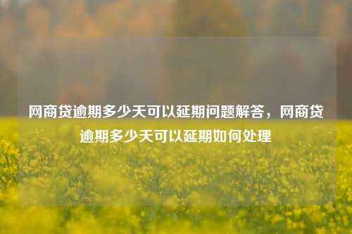 网商贷逾期多少天可以延期问题解答，网商贷逾期多少天可以延期如何处理