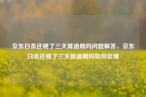 京东白条还晚了三天算逾期吗问题解答，京东白条还晚了三天算逾期吗如何处理