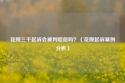 花呗三千起诉会被判赔偿吗？（花呗起诉案例分析）