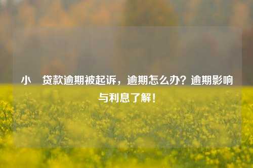 小額贷款逾期被起诉，逾期怎么办？逾期影响与利息了解！