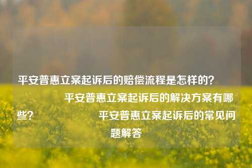 平安普惠立案起诉后的赔偿流程是怎样的？                    平安普惠立案起诉后的解决方案有哪些？                    平安普惠立案起诉后的常见问题解答