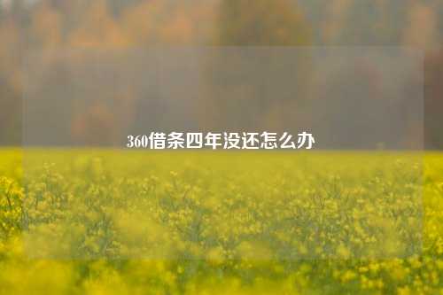 360借条四年没还怎么办