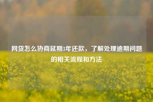 网贷怎么协商延期3年还款，了解处理逾期问题的相关流程和方法