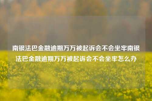 南银法巴金融逾期万万被起诉会不会坐牢南银法巴金融逾期万万被起诉会不会坐牢怎么办