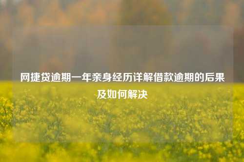 网捷贷逾期一年亲身经历详解借款逾期的后果及如何解决