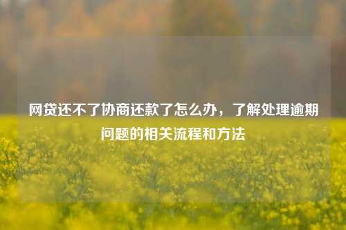 网贷还不了协商还款了怎么办，了解处理逾期问题的相关流程和方法