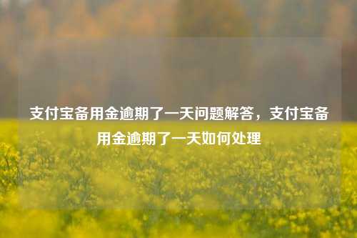 支付宝备用金逾期了一天问题解答，支付宝备用金逾期了一天如何处理