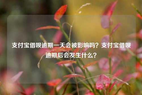 支付宝借呗逾期一天会被影响吗？支付宝借呗逾期后会发生什么？