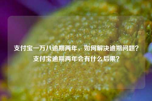 支付宝一万八逾期两年，如何解决逾期问题？支付宝逾期两年会有什么后果？