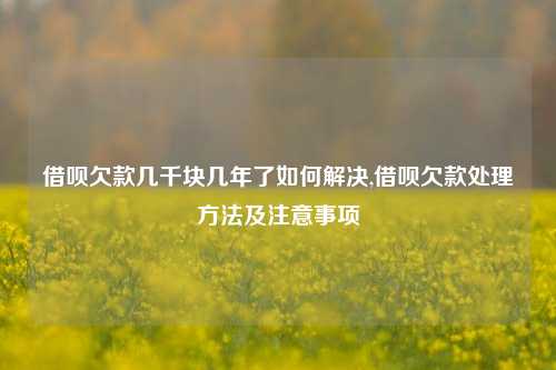 借呗欠款几千块几年了如何解决,借呗欠款处理方法及注意事项