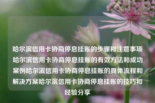 哈尔滨信用卡协商停息挂账的步骤和注意事项哈尔滨信用卡协商停息挂账的有效方法和成功案例哈尔滨信用卡协商停息挂账的具体流程和解决方案哈尔滨信用卡协商停息挂账的技巧和经验分享