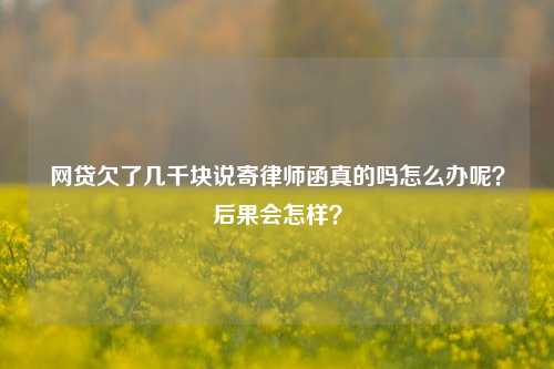 网贷欠了几千块说寄律师函真的吗怎么办呢？后果会怎样？