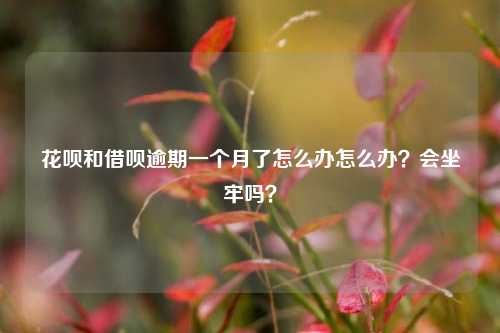 花呗和借呗逾期一个月了怎么办怎么办？会坐牢吗？