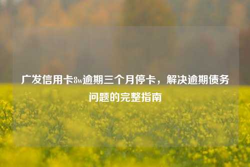 广发信用卡8w逾期三个月停卡，解决逾期债务问题的完整指南