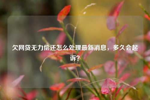 欠网贷无力偿还怎么处理最新消息，多久会起诉？