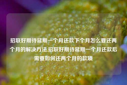 招联好期待延期一个月还款下个月怎么要还两个月的解决方法,招联好期待延期一个月还款后需要如何还两个月的款项