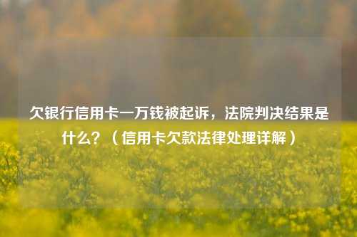 欠银行信用卡一万钱被起诉，法院判决结果是什么？（信用卡欠款法律处理详解）