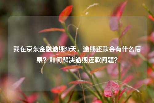 我在京东金融逾期20天，逾期还款会有什么后果？如何解决逾期还款问题？