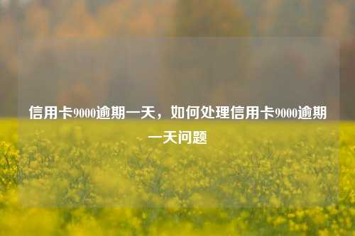 信用卡9000逾期一天，如何处理信用卡9000逾期一天问题