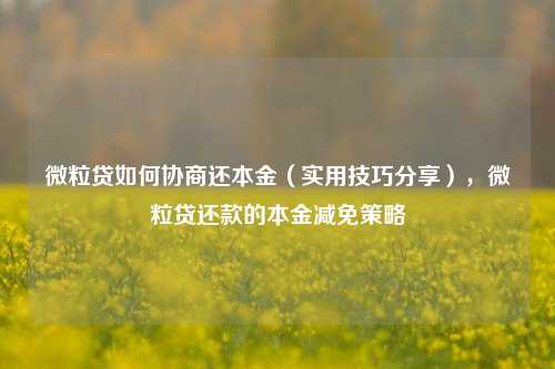 微粒贷如何协商还本金（实用技巧分享），微粒贷还款的本金减免策略