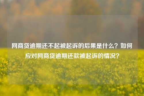 网商贷逾期还不起被起诉的后果是什么？如何应对网商贷逾期还款被起诉的情况？