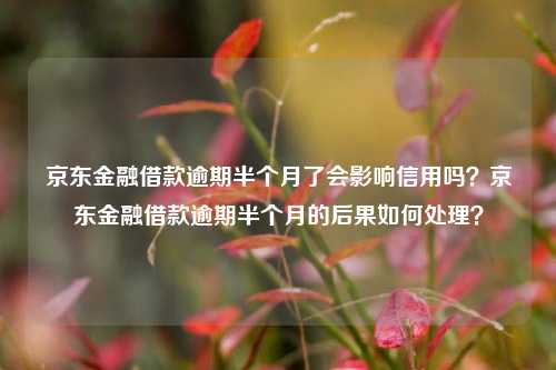 京东金融借款逾期半个月了会影响信用吗？京东金融借款逾期半个月的后果如何处理？