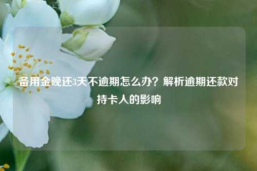 备用金晚还3天不逾期怎么办？解析逾期还款对持卡人的影响