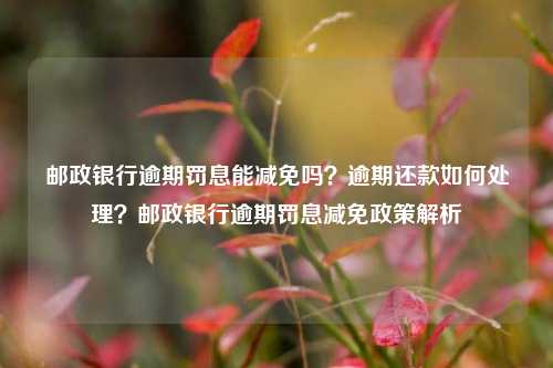 邮政银行逾期罚息能减免吗？逾期还款如何处理？邮政银行逾期罚息减免政策解析